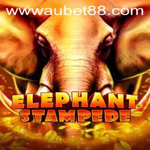 ElephantStampede: A Thrilling Adventure with AUBET88